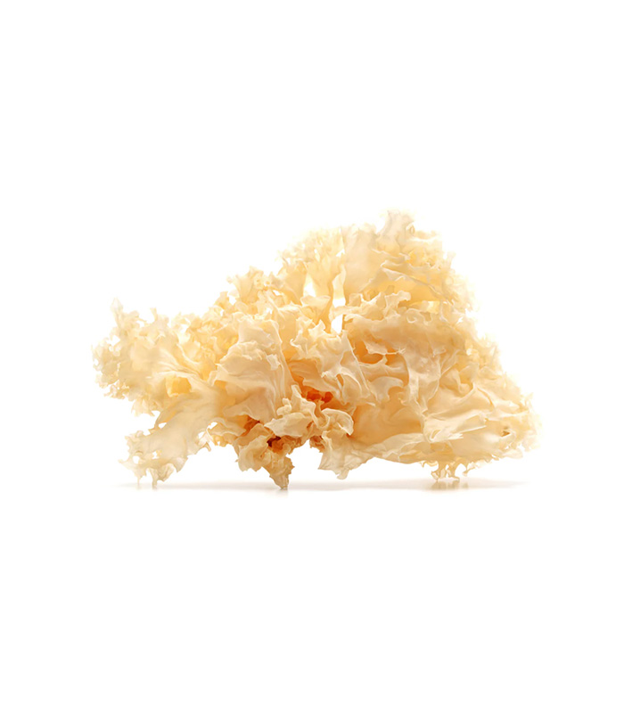 vg-vaf-m-8.jpg Dried White Fungus - immagine 1